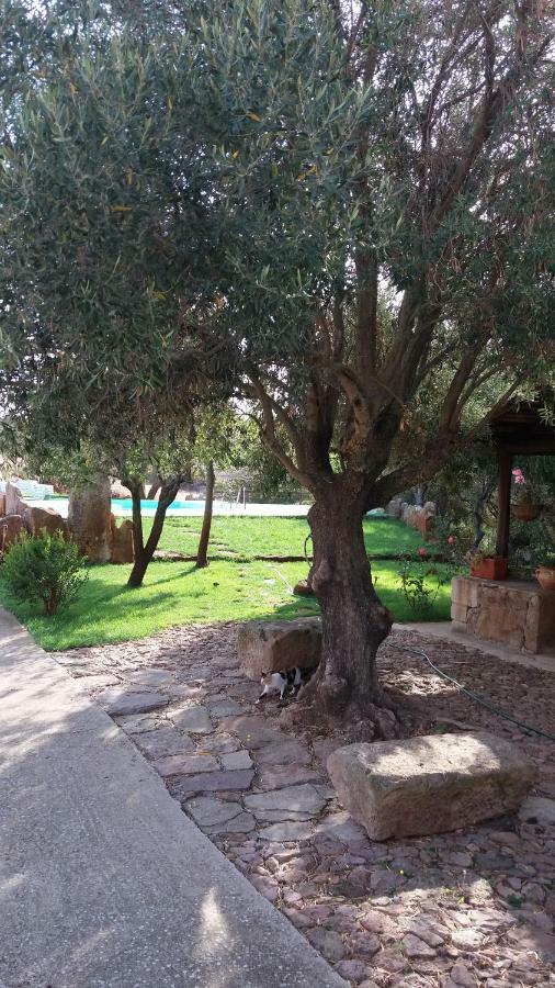 Agriturismo Sa E Padedda Mores Εξωτερικό φωτογραφία