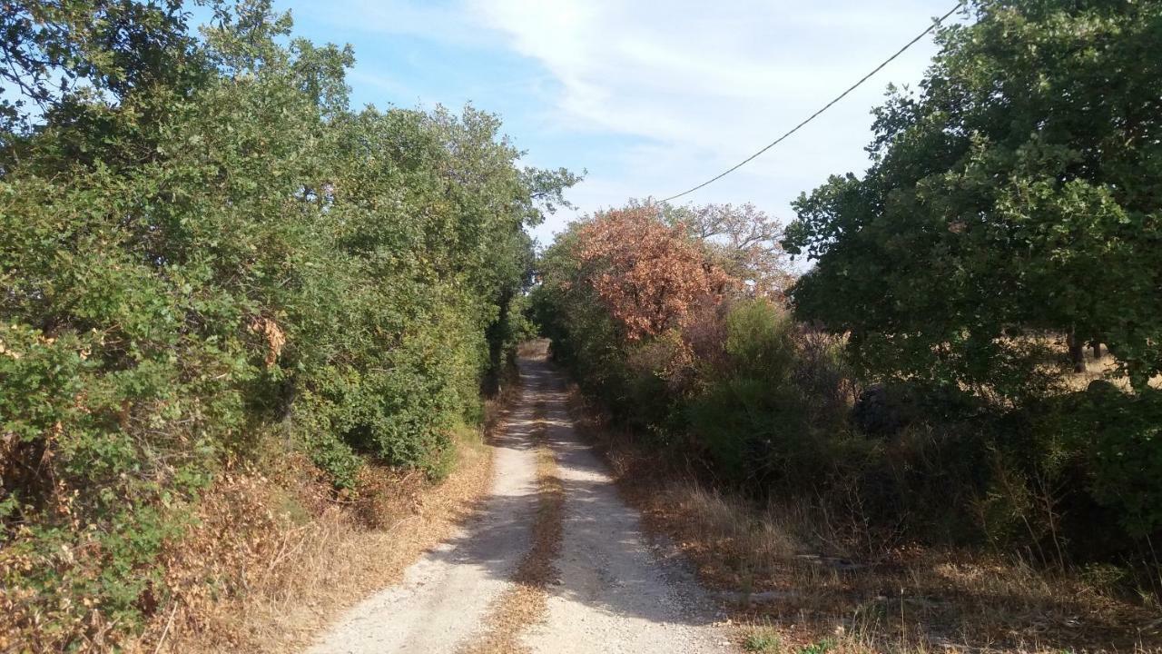 Agriturismo Sa E Padedda Mores Εξωτερικό φωτογραφία