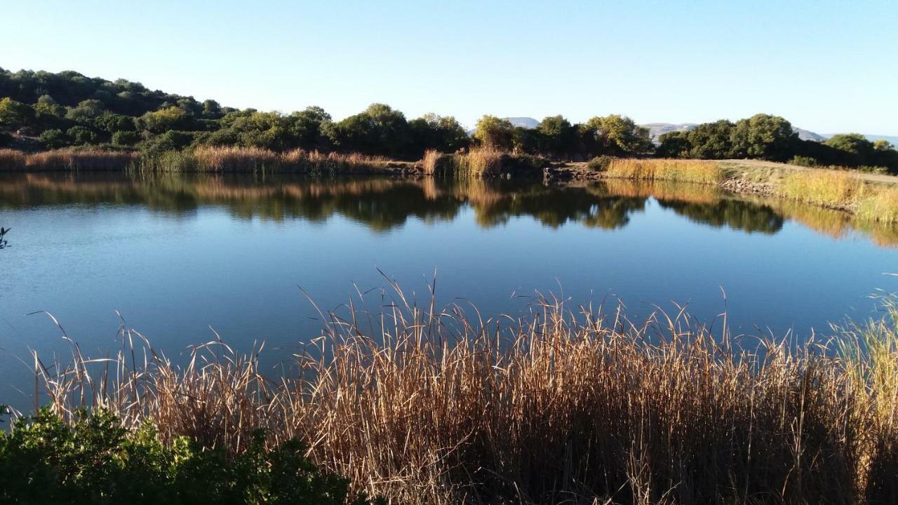Agriturismo Sa E Padedda Mores Εξωτερικό φωτογραφία